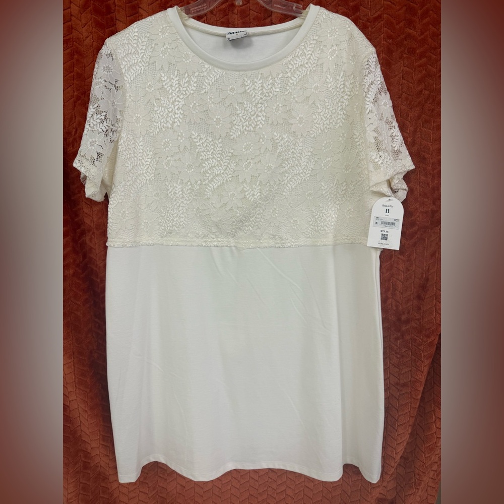ARULA White Lace Mini Dress Size 2x
